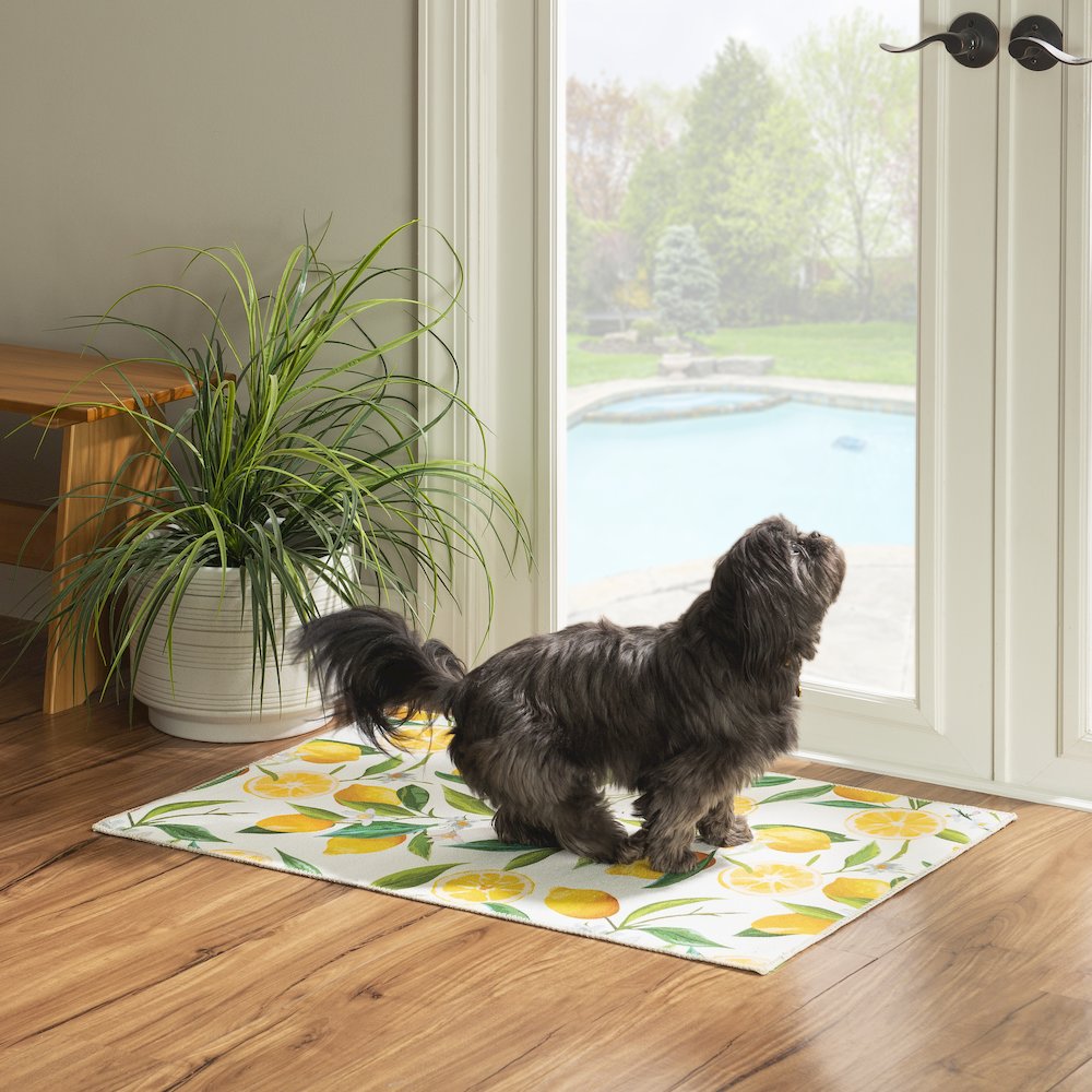 Washable Sumner Ivory/Yellow 2x3, Rug