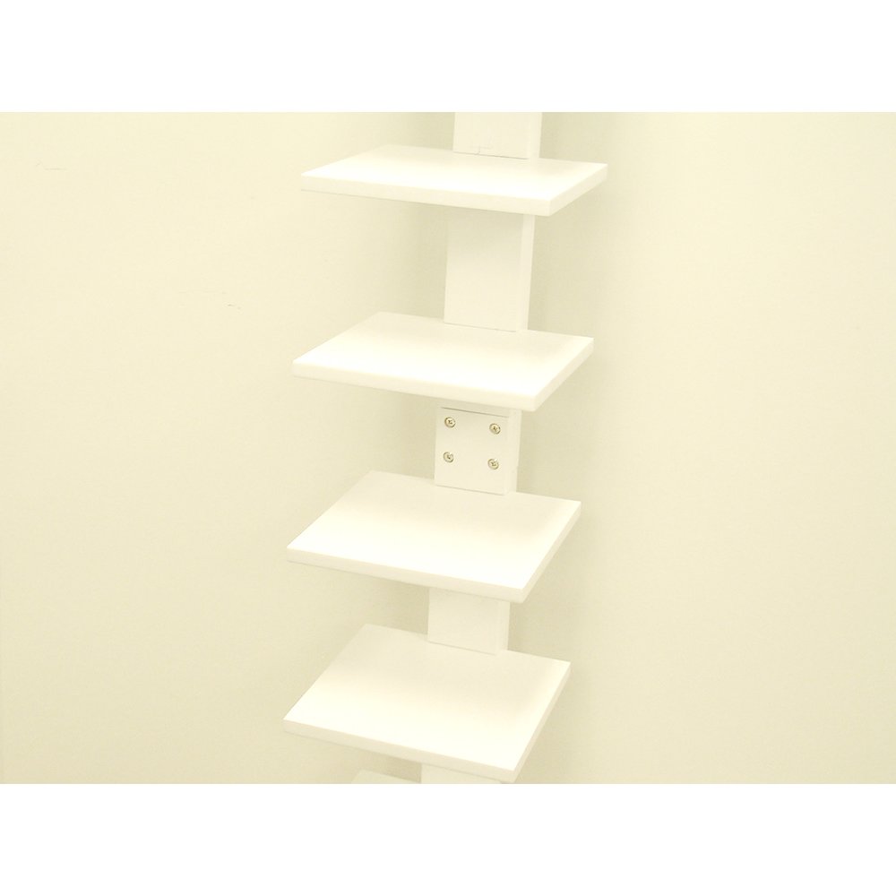Spine Book Shelf