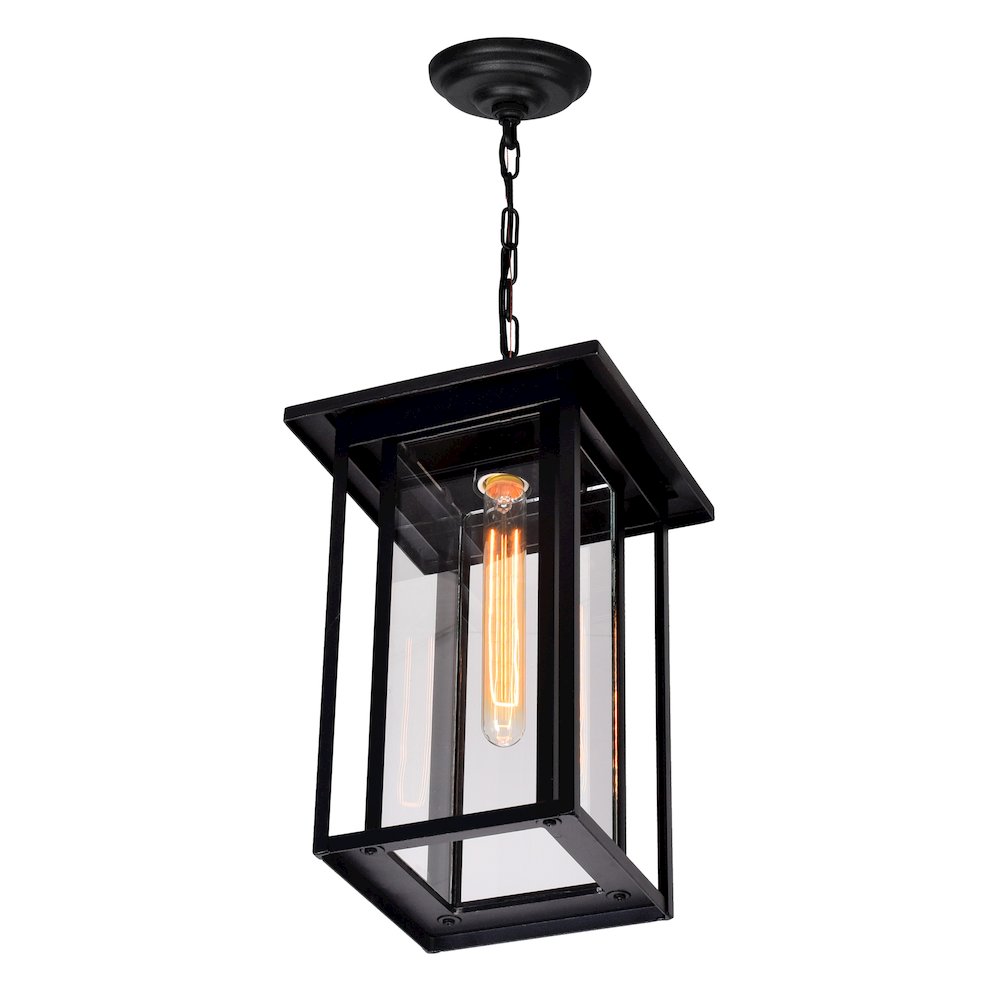 Crawford 1 Light Black Outdoor Pendant