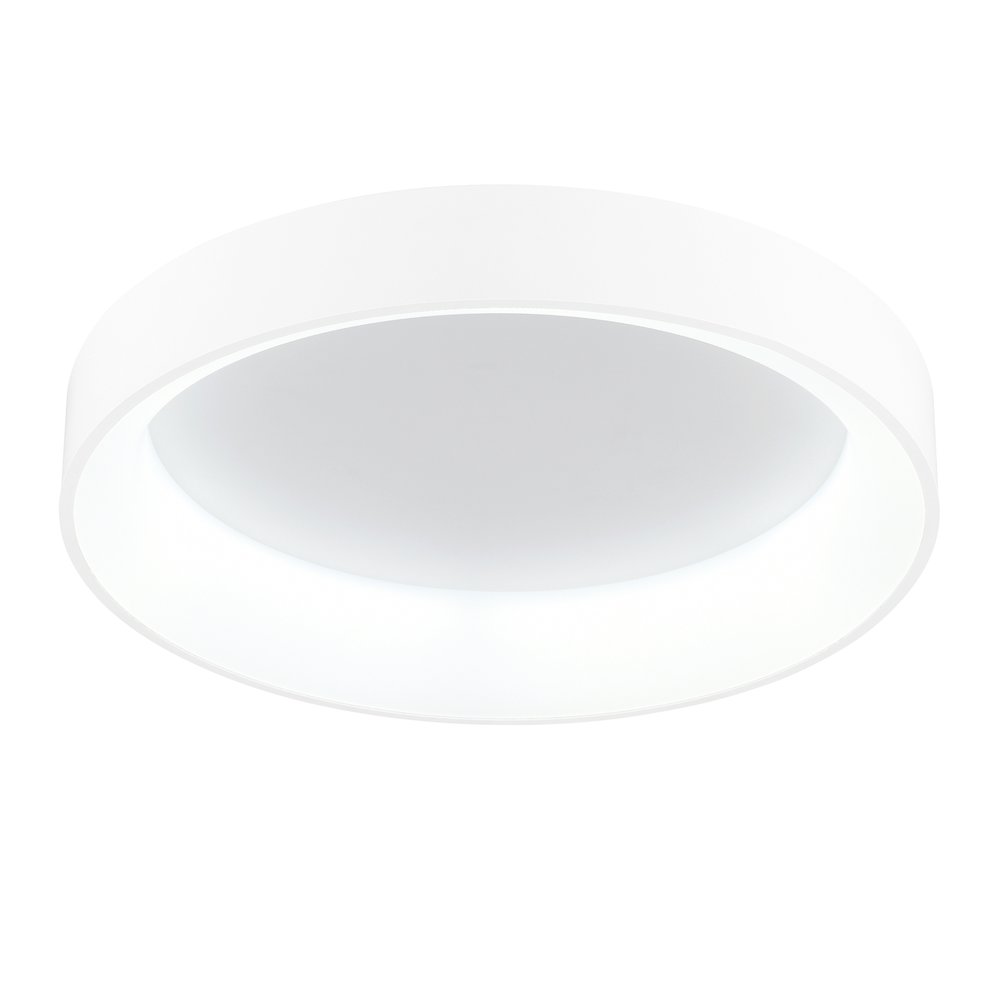 Arenal Integrated LED 24in White Flush Mount