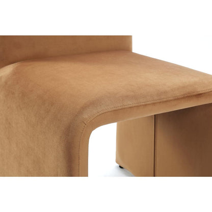 Winston Fully Upholstered Side chair in Whiskey Velvet, set of 2