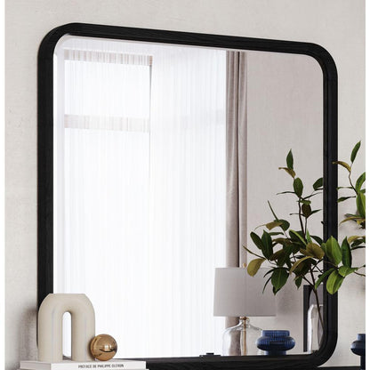 Elora Beveled Glass Mirror in Jet Black Ash