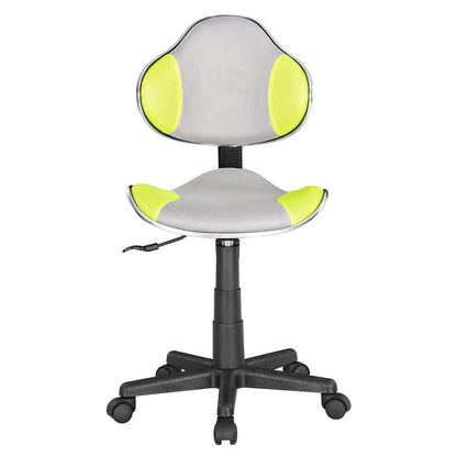 Home Office Low Back Computer Executive Chair, Grey/Green
