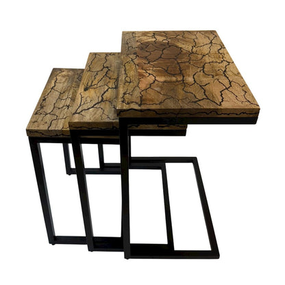 Electra 3 Piece Nesting Table Set - Electrified Wood - Black Iron
