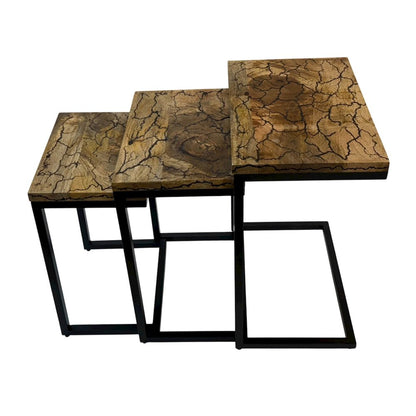Electra 3 Piece Nesting Table Set - Electrified Wood - Black Iron