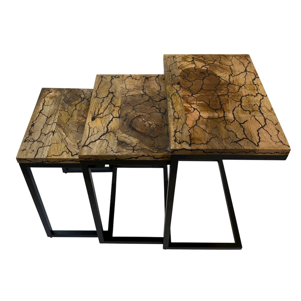 Electra 3 Piece Nesting Table Set - Electrified Wood - Black Iron