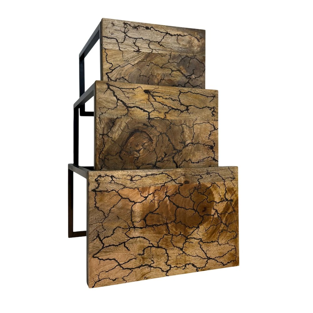 Electra 3 Piece Nesting Table Set - Electrified Wood - Black Iron