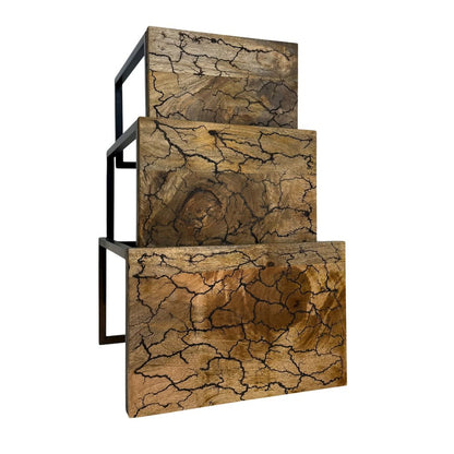Electra 3 Piece Nesting Table Set - Electrified Wood - Black Iron
