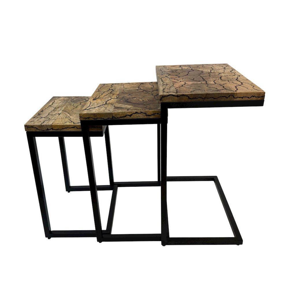 Electra 3 Piece Nesting Table Set - Electrified Wood - Black Iron