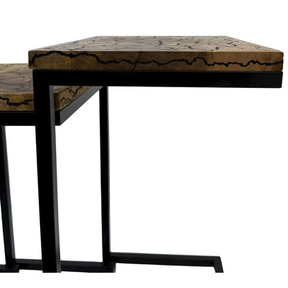 Electra 3 Piece Nesting Table Set - Electrified Wood - Black Iron
