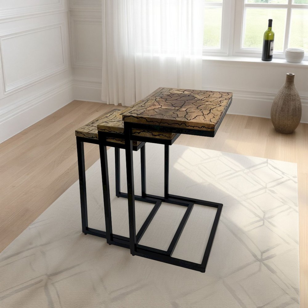 Electra 3 Piece Nesting Table Set - Electrified Wood - Black Iron