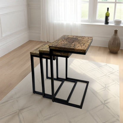 Electra 3 Piece Nesting Table Set - Electrified Wood - Black Iron