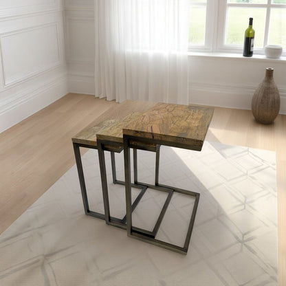 Electra 3 Piece Nesting Table Set - Electrified Wood - Brass - Indstrial Iron