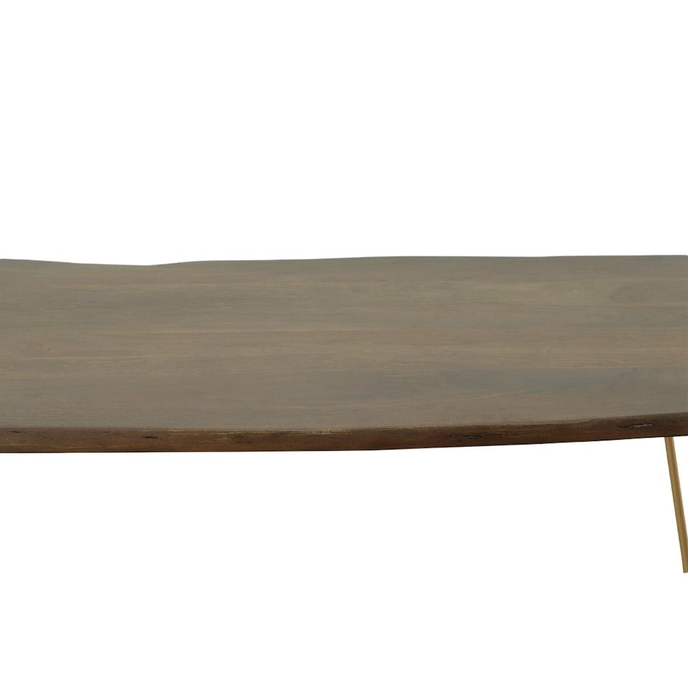 Seti Live Edge Dining Table - Elm Top - Gold Base