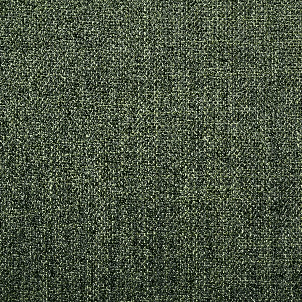 Conifer Green Upholstered Dining Side Chair (Set of 2)