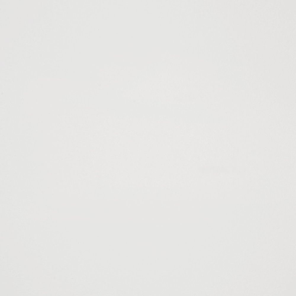 Taraval White Queen Upholstered Panel Bed
