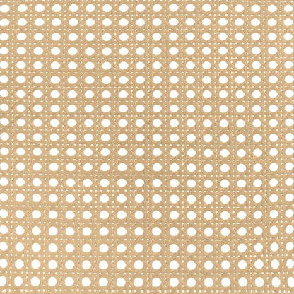 Randall White Open Cane Webbing Metal Queen Bed