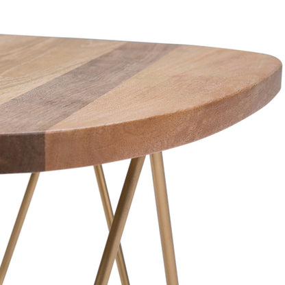 Patrice Metal And Wood Accent Table In Natural, Gold