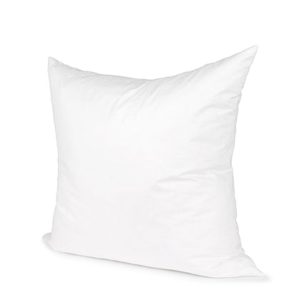 20 x 20 Down pillow insert