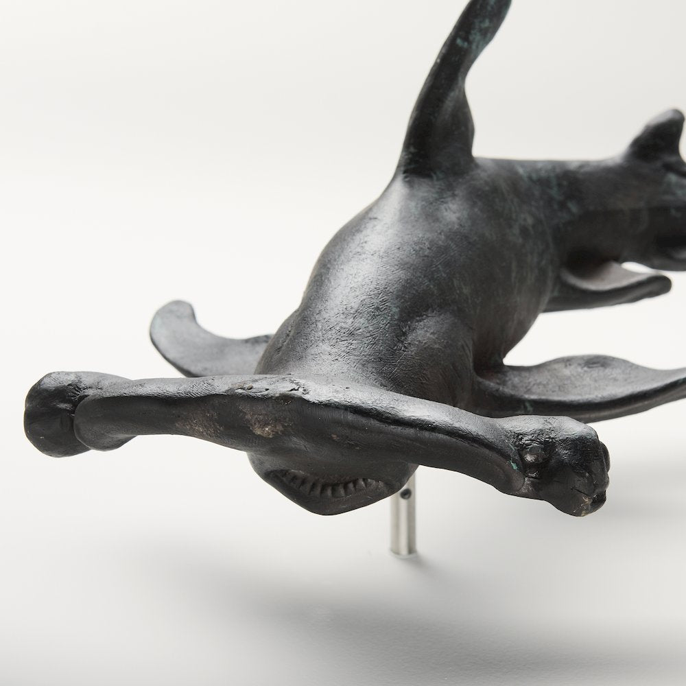 24H Large Hammer Head Shark Wall Decor