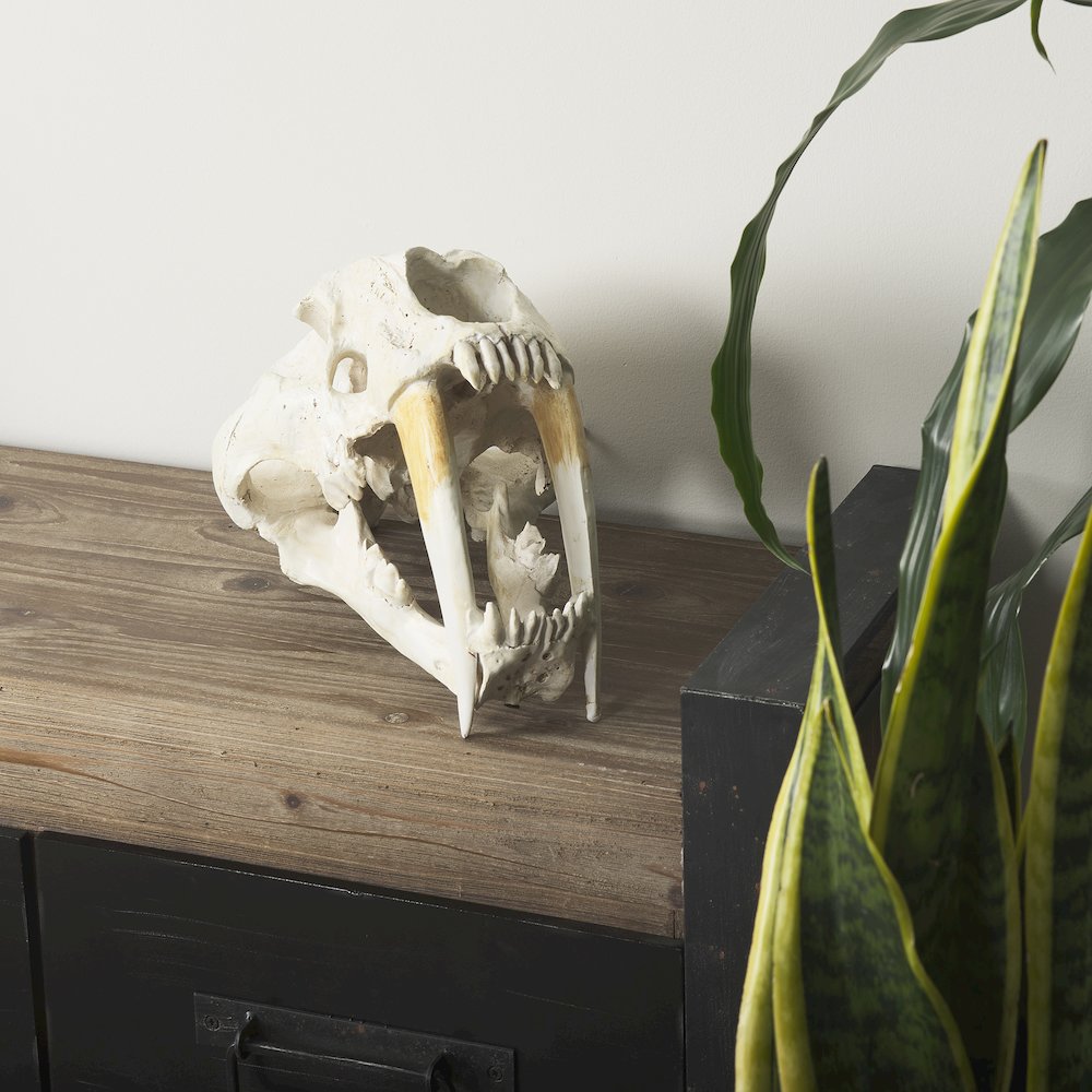 Fozzil 9L x 9W Resin Sabretooth Skull Replica