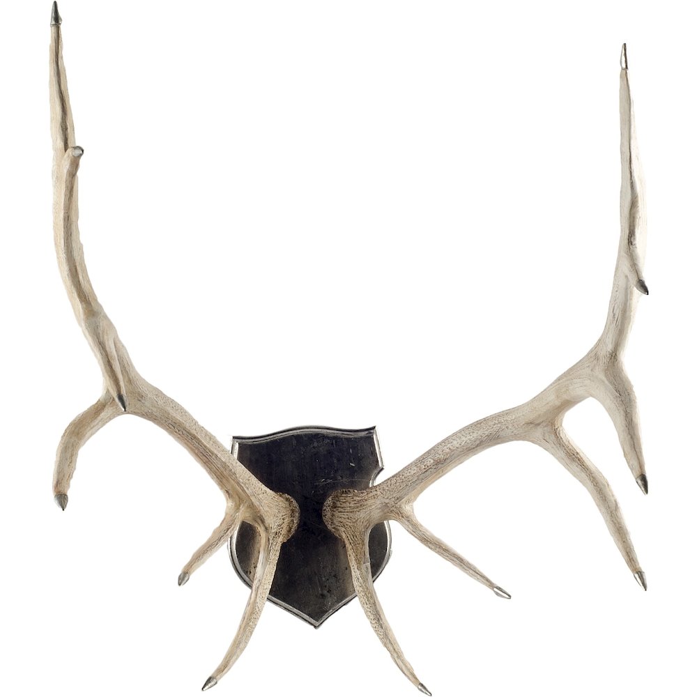Natural Finish Set Of Replica Deer Antlers