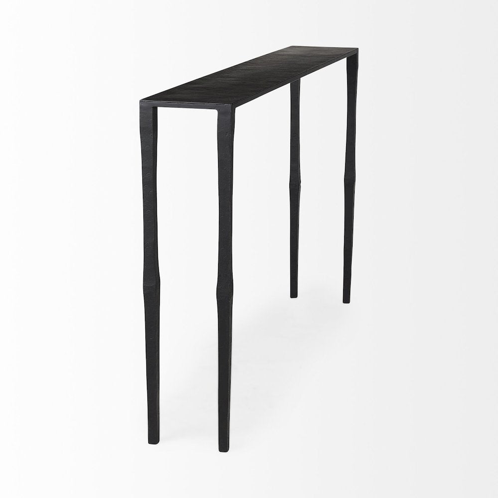 48.0 X 8.0 X 30.0 Ebony Black Iron Console Table