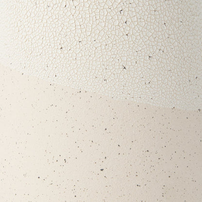 Salar 5.9L x 5.9W x 14.0H Cream Conical Crackled Ceramic Vase