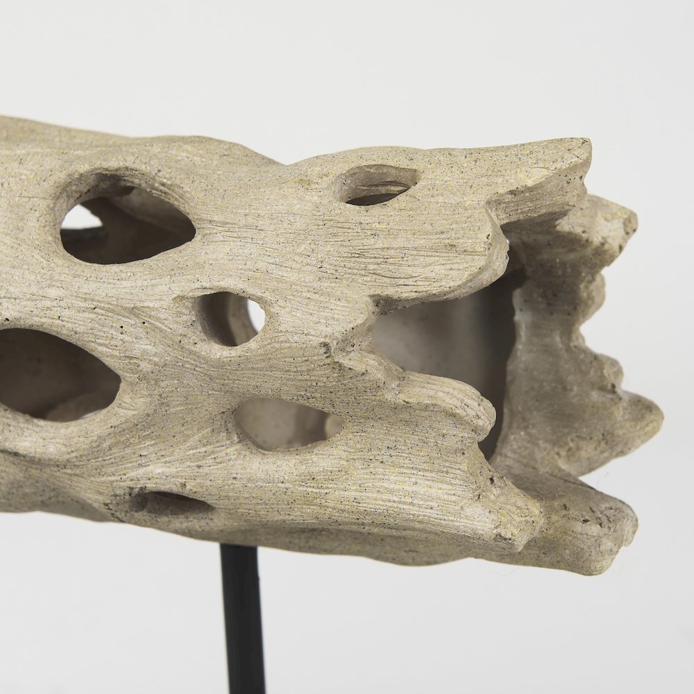 Dwell Cholla Wood Resin Decorative Object