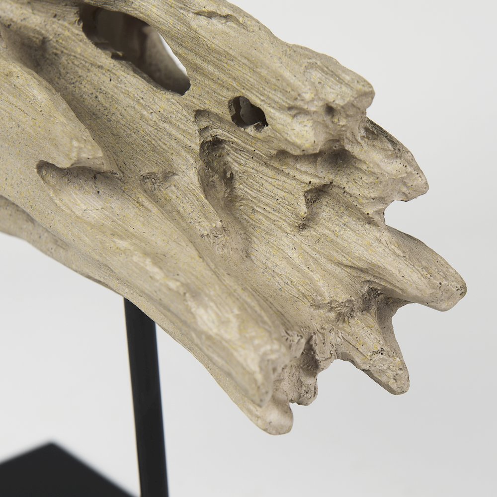 Dwell Cholla Wood Resin Decorative Object