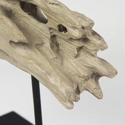 Dwell Cholla Wood Resin Decorative Object