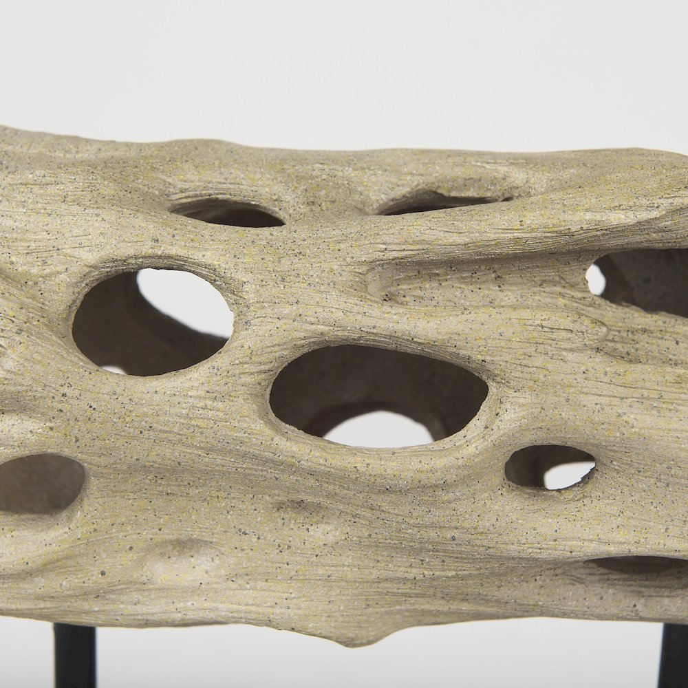 Dwell Cholla Wood Resin Decorative Object