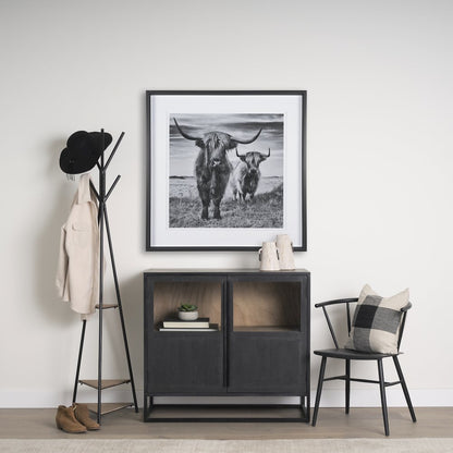 Matte Black Metal Two Wood Shelves Coat Rack