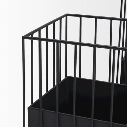 Verna Matte Black Wire Cage Metal Planters (Set of 2)
