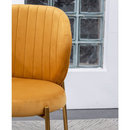 Amoa Contemporary Velvet Upholstery Dining Chair, Yellow, Set of 2