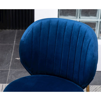 Amoa Contemporary Velvet Upholstery Dining Chair, Blue, Set of 2