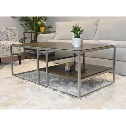 Padena Metal Frame Wood Living Room Coffee Table with Shelf