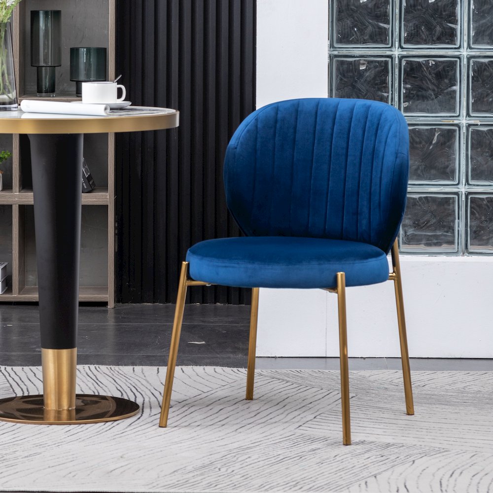 Amoa Contemporary Velvet Upholstery Dining Chair, Blue, Set of 2