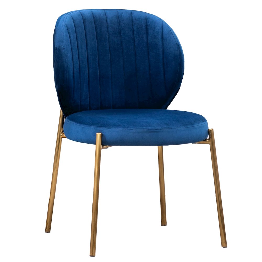Amoa Contemporary Velvet Upholstery Dining Chair, Blue, Set of 2