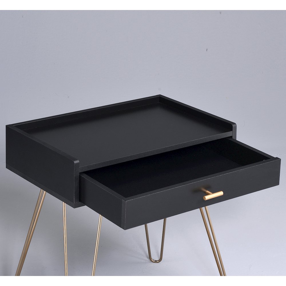 Hailey Black and Gold Wood Storage End Table