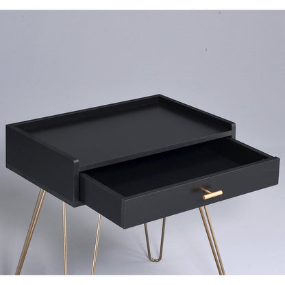 Hailey Black and Gold Wood Storage End Table