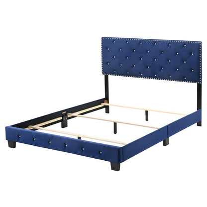 Glory Furniture Suffolk Queen Bed in Navy Blue Color