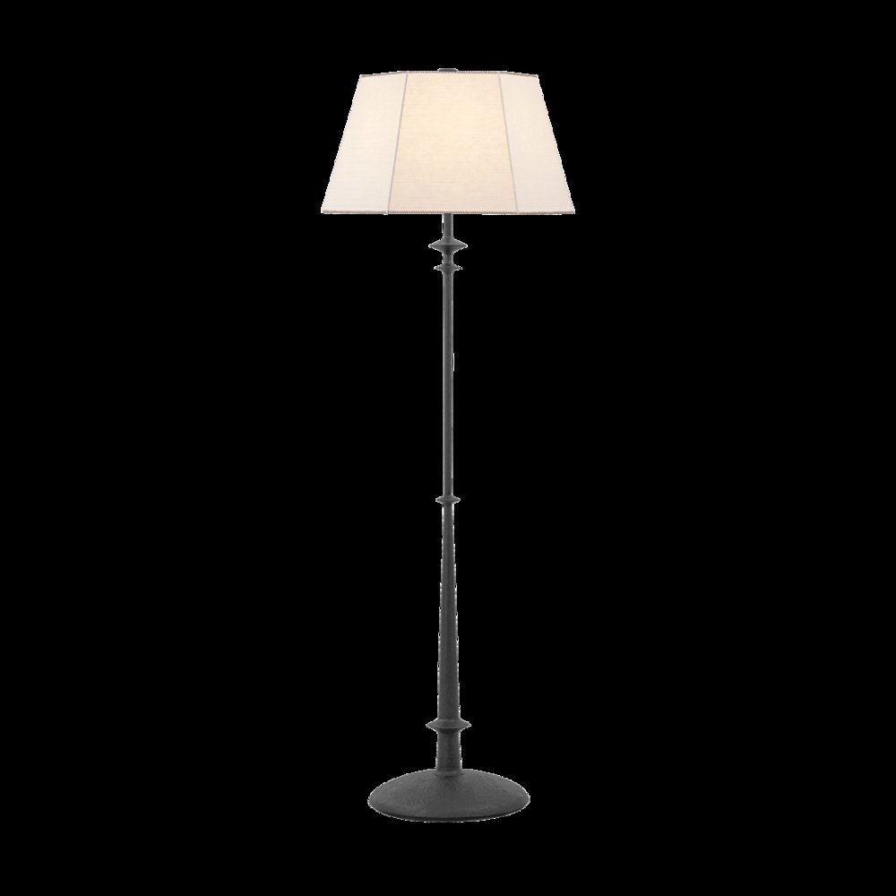 Celmins Floor Lamp, Black Iron