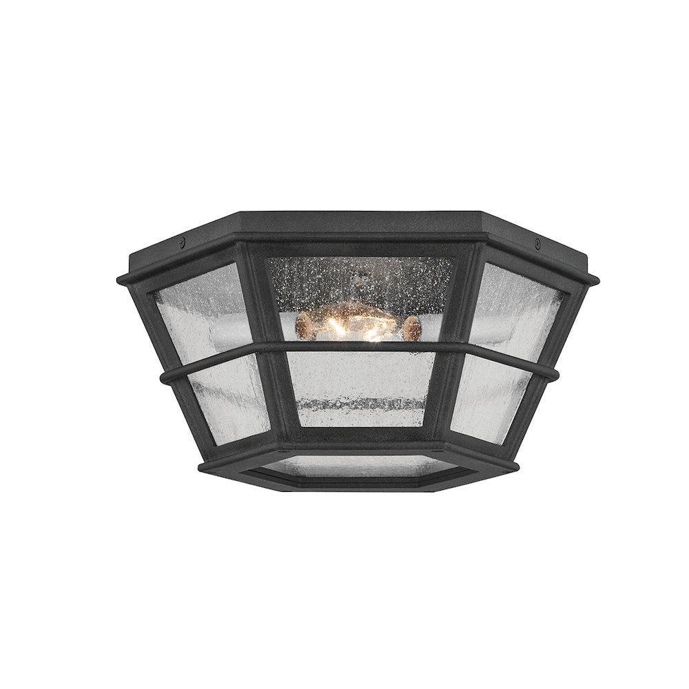 Lake County Exterior Flush Mount, French Iron
