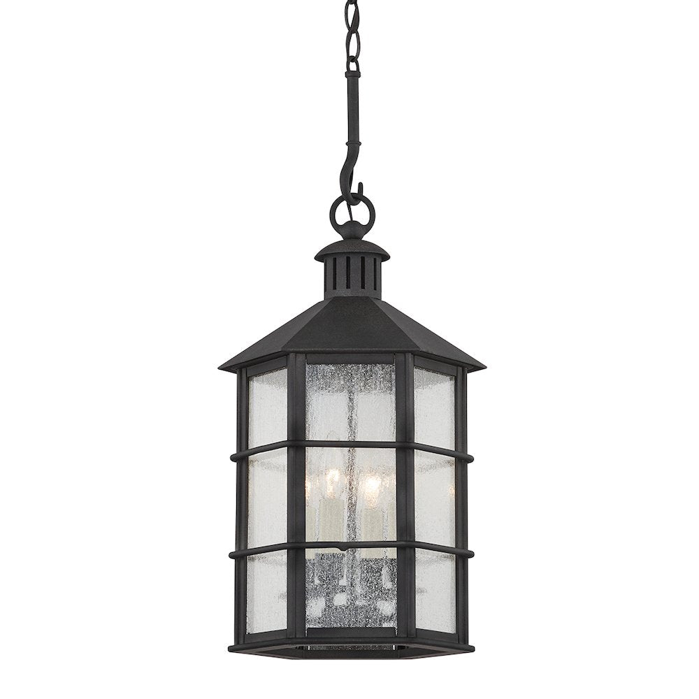 Lake County Exterior Lantern, French Iron