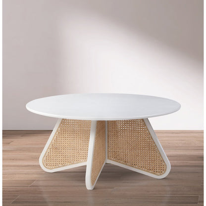 Butterfly Coffee Table