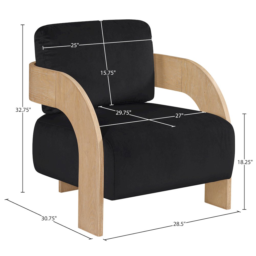 Cedra Black Velvet Performance Fabric Upholstered Accent Chair