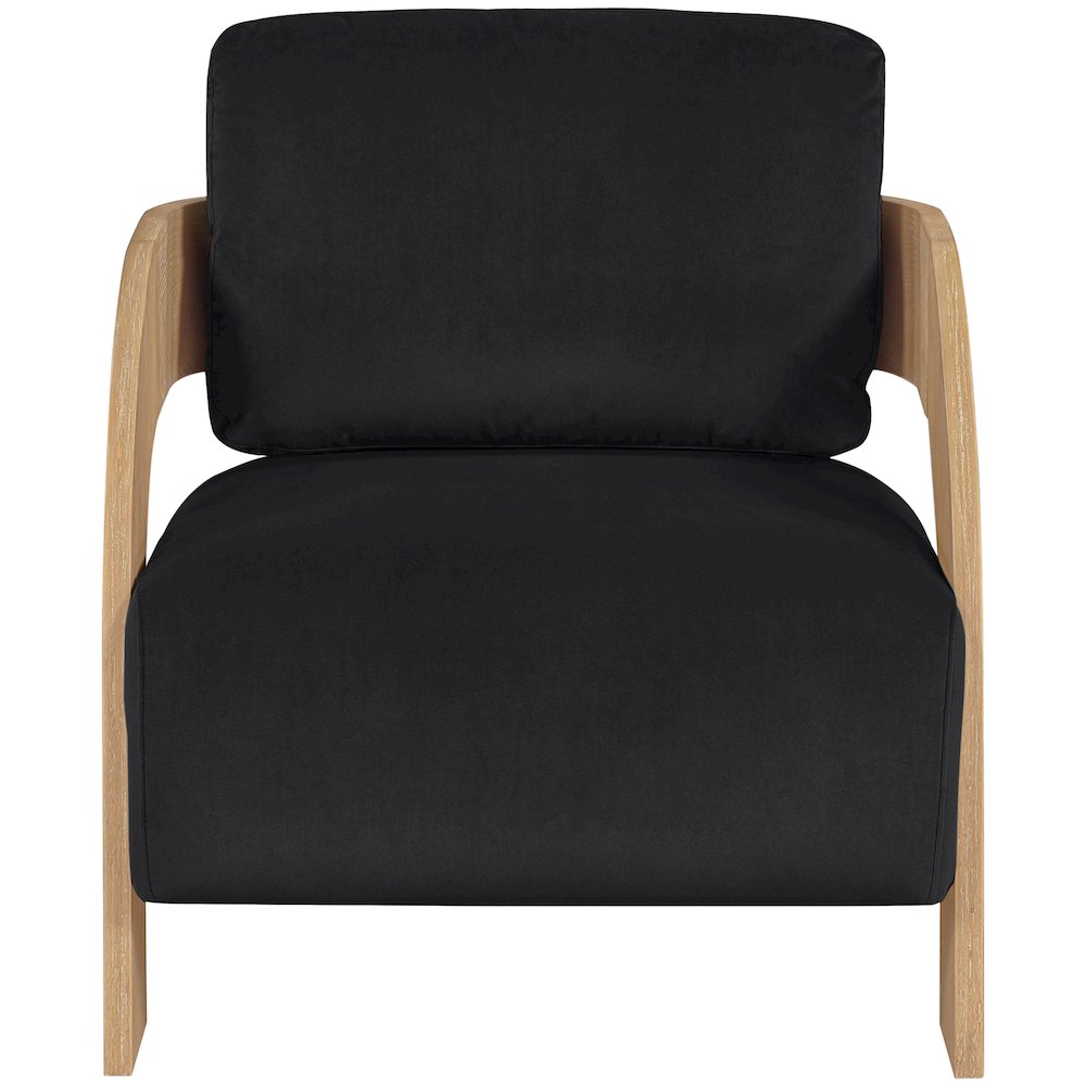Cedra Black Velvet Performance Fabric Upholstered Accent Chair