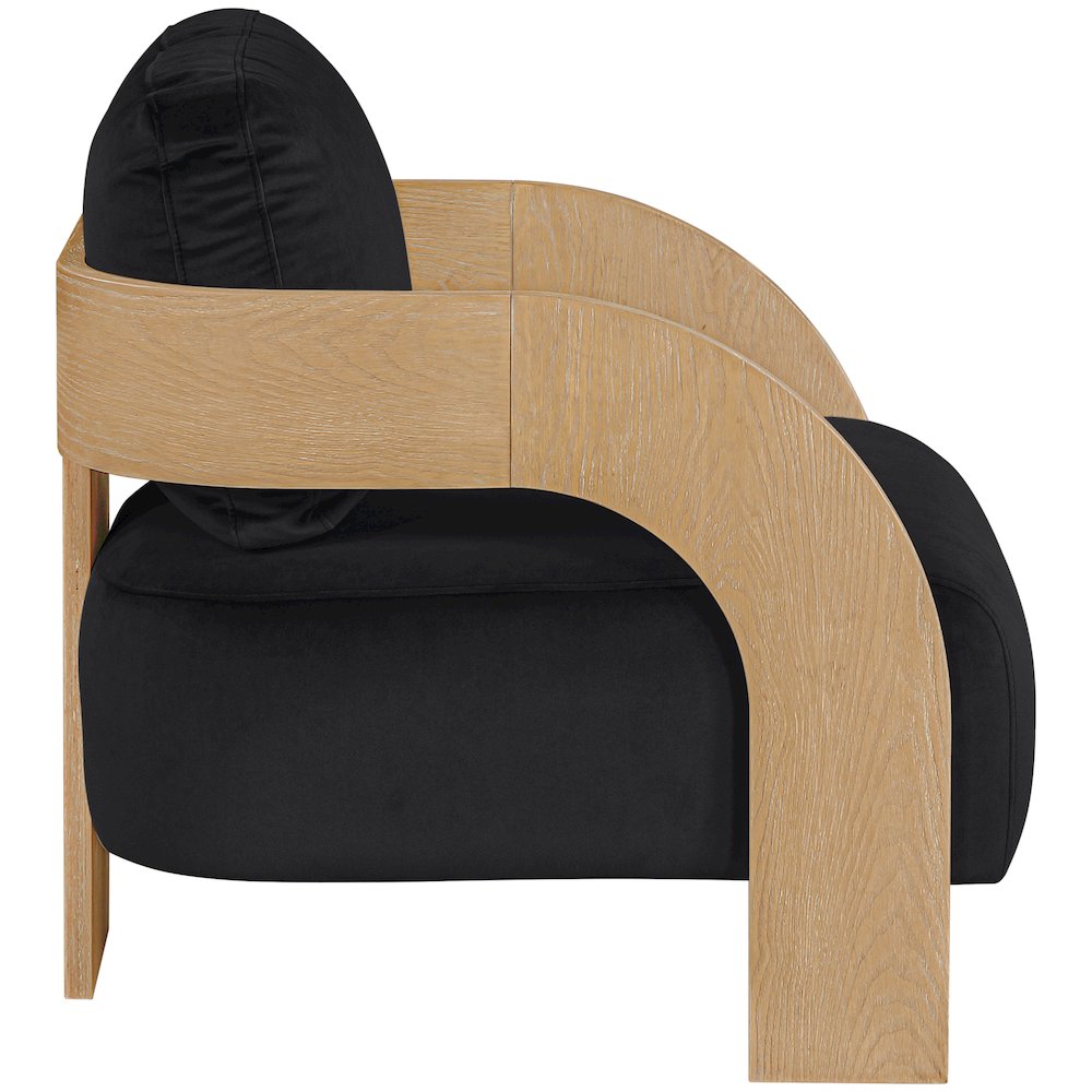 Cedra Black Velvet Performance Fabric Upholstered Accent Chair