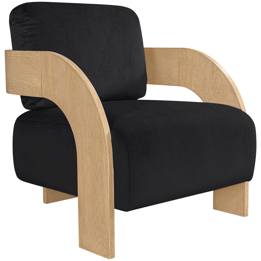 Cedra Black Velvet Performance Fabric Upholstered Accent Chair